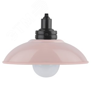 Ночник - светильник светодиодный NLED-487-1W-SW-P настенный на батарейках с выключателем розовый