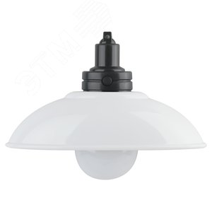 Ночник - светильник светодиодный NLED-487-1W-SW-W настенный на батарейках с выключателем белый