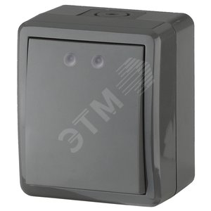 Выключатель IP54, 10АХ-250В, ОУ, Эра Эксперт, серый,11-1401-03