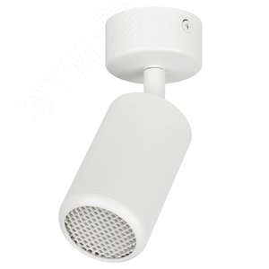Светильник настенно-потолочный спот IP20 белый OL55 WH MR16 GU10 ЭРА