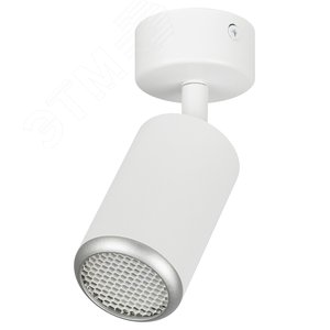 Светильник настенно-потолочный спот IP20 белый/серебро OL55 WH/SL MR16 GU10 ЭРА