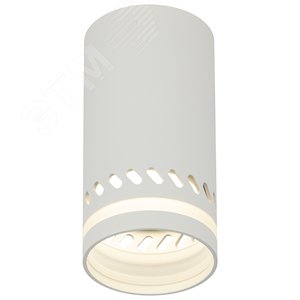 Светильник настенно-потолочный спот  OL50 WH MR16 GU10 IP20 белый