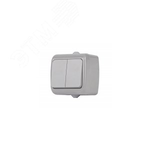 Выключатель Intro Atlantic 5-104-03 двойной, 10А-250В, IP54, открытой установки, серый