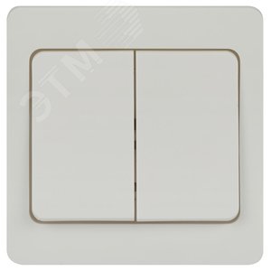 Выключатель двойной, 10А-250В, IP20, СУ, белый Intro 7-104-01 Style