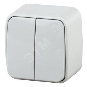 Выключатель двойной, 10A-250В, ОУ, Polo, белый,3-104-01