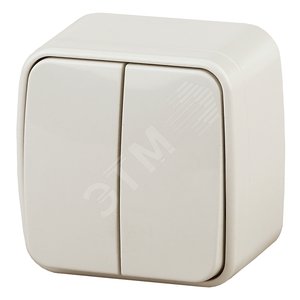 Выключатель двойной, 10A-250В, ОУ, Polo, сл.кость,3-104-02