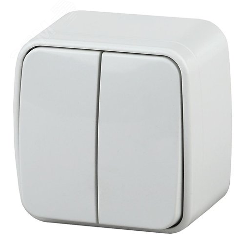 Выключатель Intro Polo 3-104-01 двухклавишный, 10A-250В, IP20, ОУ, белый