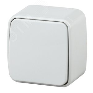 Выключатель Intro Polo 3-101-01 одноклавишный 10A-250В, IP20, ОУ, белый