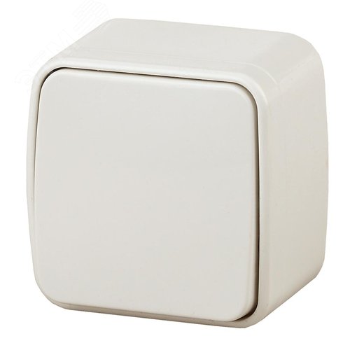 Выключатель Intro Polo 3-101-02 одноклавишный 10A-250В, IP20, ОУ, сл.кость