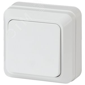 Выключатель Intro Quadro 2Э-101-01 одноклавишный 10А-250В, IP20, ОУ, без монтажной пластины, белый