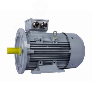 Электродвигатель общепромышленный ESQ PR 112 MA2-SDN-Б1-S12-IE3 4/3000  IM B35