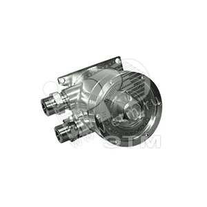 ИП световой Корпус - нерж. сталь штуцер тип Т Световой сигнал до 500 лк IP65 ВЗР