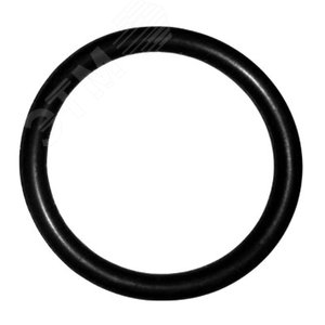 Кольцо 019-023-25-2-4