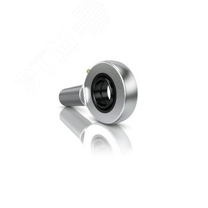 Шарнирный наконечник GAR8-DO (INA)