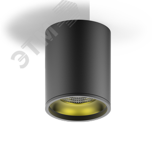 Светильник светодиодный накладной ДПО-12Вт 3000K 79x100мм (черный золото) Gauss