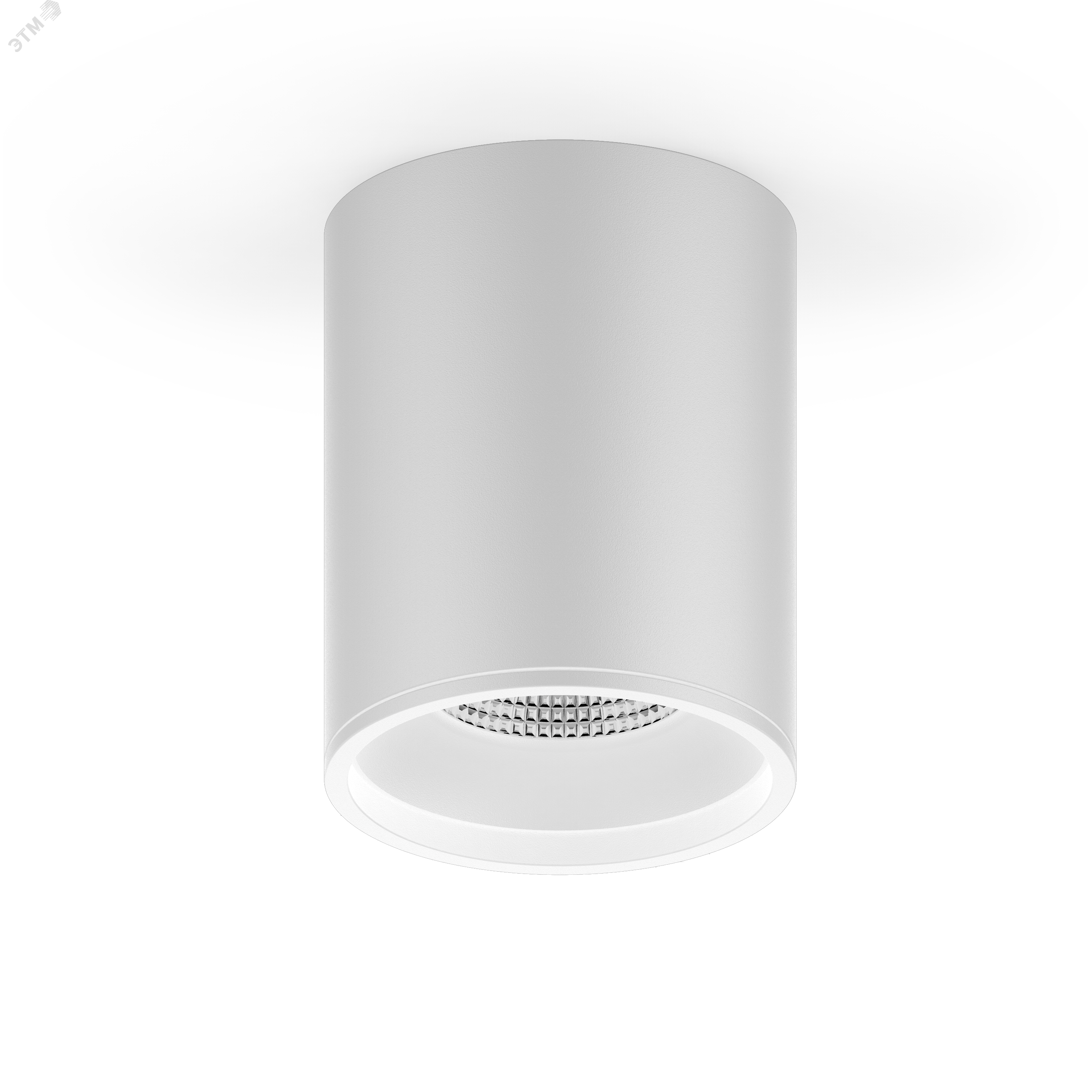 Светильник светодиодный накладной LED ДПО 12 Вт 920 Лм 4100К IP20 d79х100 мм монт d79 мм Overhead