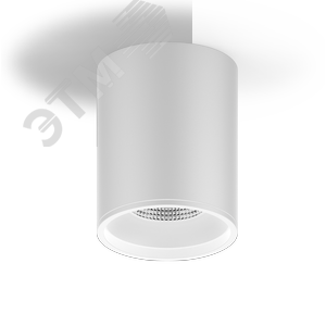 Светильник светодиодный накладной LED ДПО 12 Вт 920 Лм 4100К IP20 d79х100 мм монт d79 мм Overhead