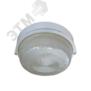 Светильник общепромышленный ля работы в сети постоянного тока с номинальным напряжением 110В Луч 60 IP65 60Вт Лампа накаливания