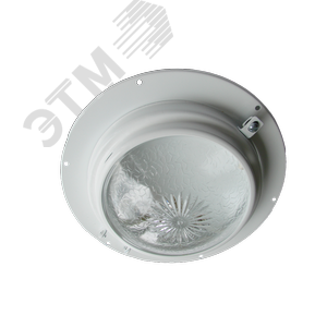 Светильник общепромышленный СЖ-6 25/60Вт Лампа накаливания железнодорожная