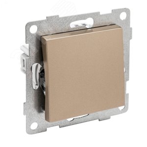 Ugra Переключатель одноклавишный, проходной, скрытая установка, 10А, 250В.  шампань