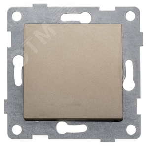 Ugra Выключатель одноклавишный, скрытая установка, 10А, 250В.  шампань