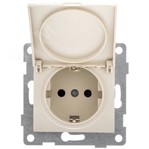 GUSI Bravo механизм розетки 1-ой с/з с з/ш и крышкой,  скрытая  установка, 16А, 250В. Цвет бежевый.