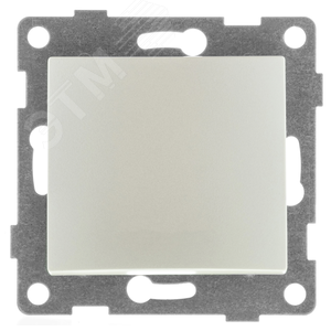 GUSI Bravo МЕХАНИЗМ Выключатель одноклавишный, скрытая установка, 10А, 250В. Цвет шампань