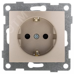 Bravo Розетка одинарная, с боковым заземляющим контактом, с защитой от проникновения, скрытая установка, 16А, 250В.  шампань