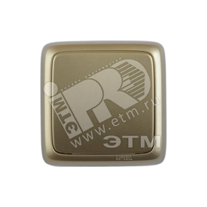 Выключатель одноклавишный наружный с изоляционной пластиной золото 10А