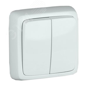 Выключатель двухклавишный наружный с изоляционной пластиной белый 10А