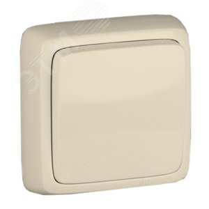 Выключатель одноклавишный наружный с изоляционной пластиной слоновая кость 10А