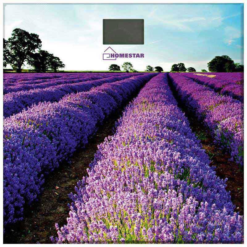 Весы напольные электронные HS-6001G стеклянная поверхность, до 180 кг