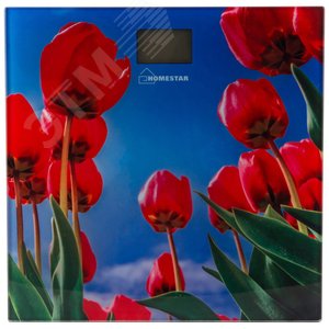 Весы напольные электронные HS-6001I стеклянная поверхность, до 180 кг