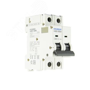 Автоматический выключатель HGD63-M 2PMCS0000C     00025 2 полюса, 25А, ток к.з. 6kA, хар-ка C
