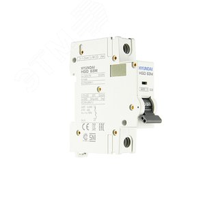 Автоматический выключатель HGD63-M 1PMDS0000C 00010 1 полюс, 10А, ток к.з. 6kA, хар-ка D (STANDARD)