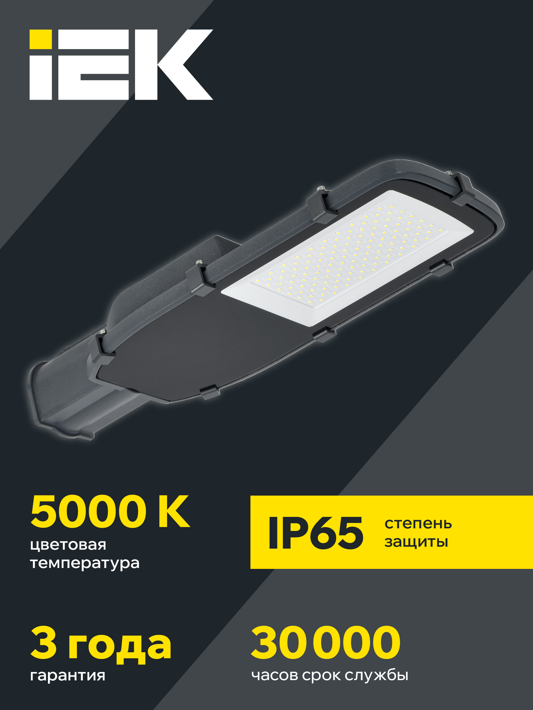 Светильник светодиодный консольный ДКУ 1002-100Д 5000К IP65 серый IEK