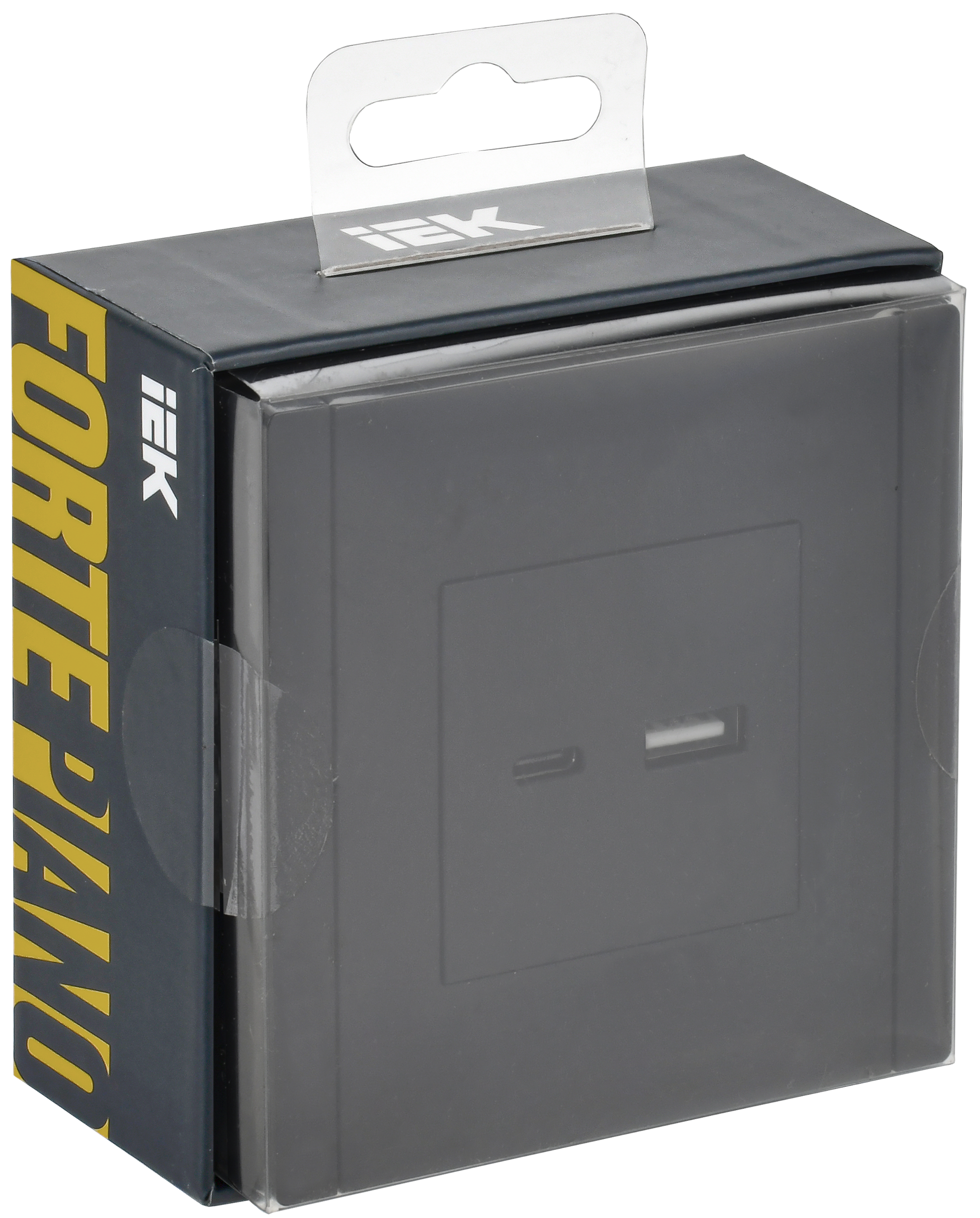 FORTE&PIANO Розетка USB A+C 3,1А FP150 черный IEK