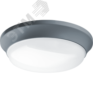 Светильник светодиодный ДПБ-01-ПП-12-GR-5К-IP65