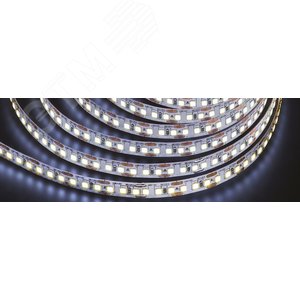 Лента светодиодная ИСЛ-2835CW120-9.6-CRI80-IP65-24V 5м