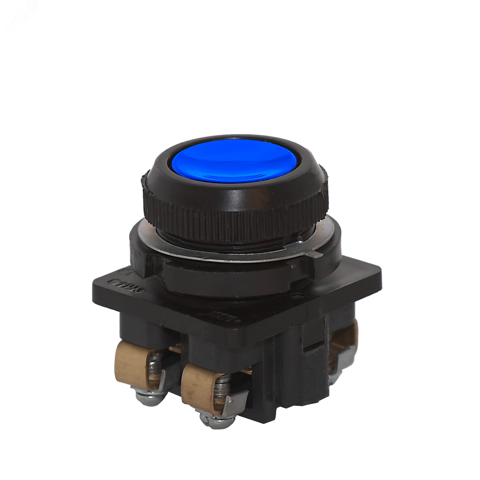 Кнопка синяя