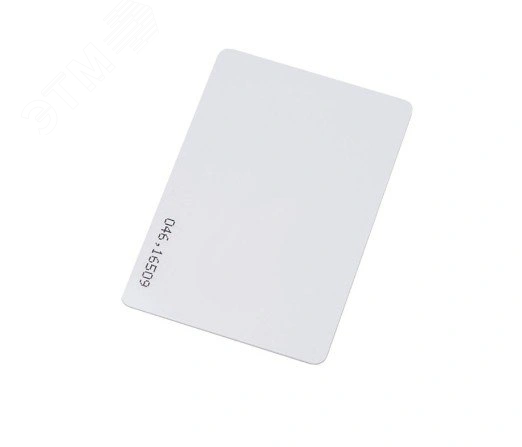 Карта двухчиповая IL-06T&M ISO Temic + Mifare 1K