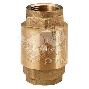 Клапан обратный 1' пружинный металлическое седло EUROPA