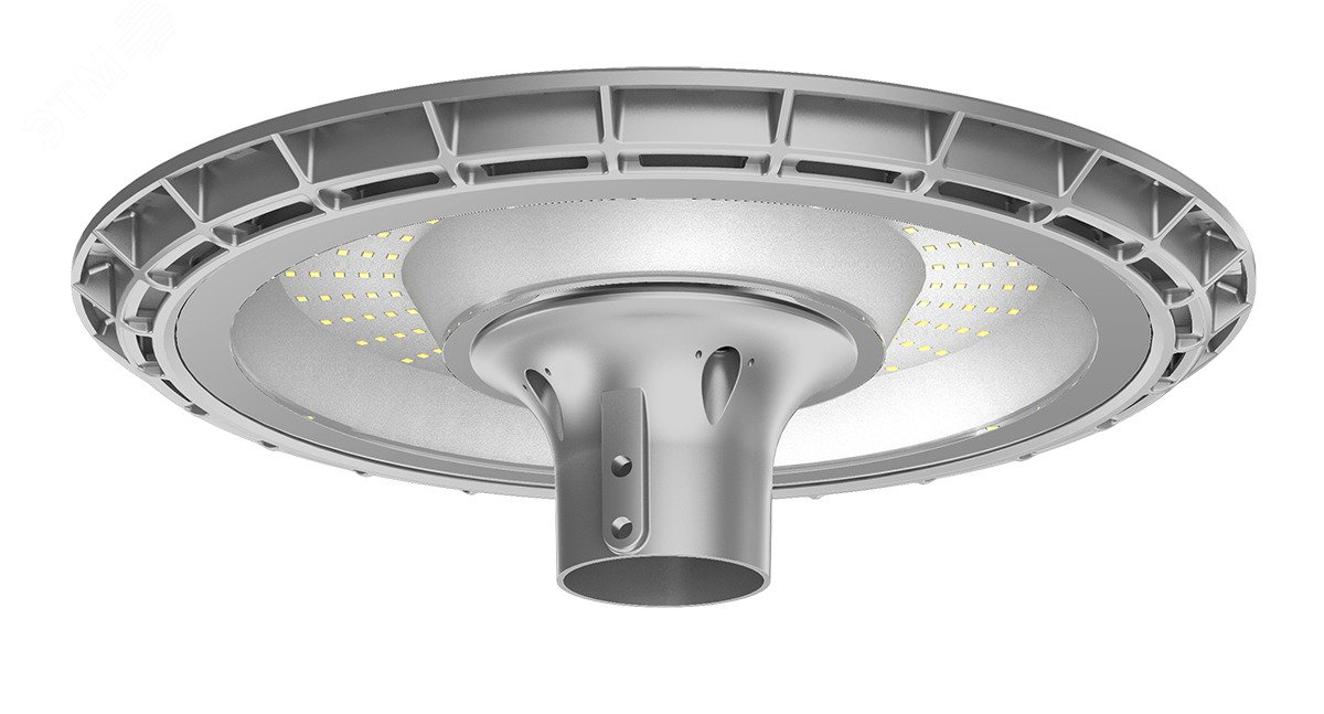 Светильник садово-парковый ДТУ-60Вт 5000К 6000Лм серый IP65 (2г.гар)