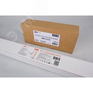 Блок аварийного питания PWP-C3-E1 и драйвер 60Вт