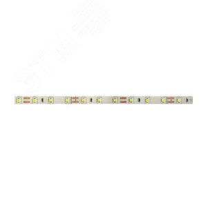 Лента светодиодная PLS PRO 2835/168-24V - 4000K IP20 5m Jazzway