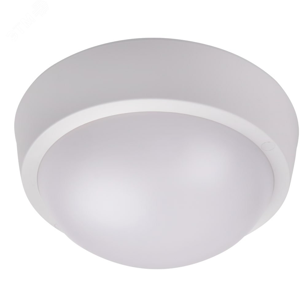 Светильник светодиодный ДБП-24Вт 4000К 1800Лм IP65