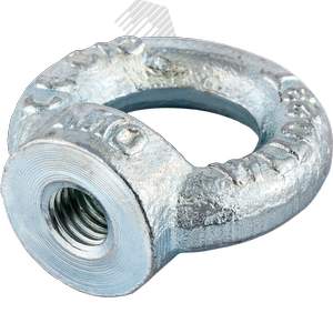 Рым-гайка DIN 582 М6