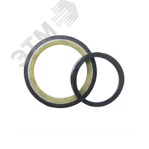 Уплотнение TSN 524 A