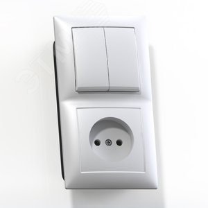 СЕЛЕНА Блок комбинированны скрытой установки (двухклавишный выключатель +розетка) БКВР-409, белый