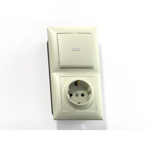 СЕЛЕНА Блок комбинированный с/у выключатель одноклавишный с подсв.+розетка 2К+З  БКВР-420, сл.кость